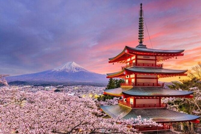 Mount Fuji (Mt. fuji) private tour by car with pickup from Tokyo - Saiko Iyashi no Sato Nemba keeps the day grounded