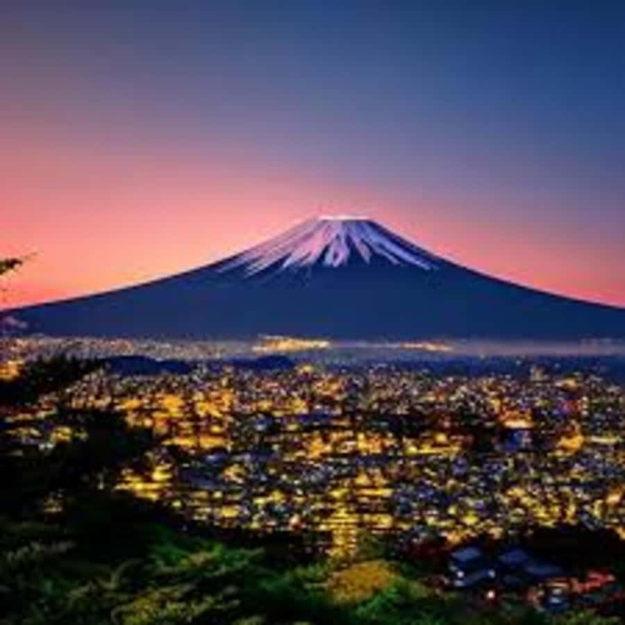 Mount Fuji One Day Private Tour With English Speaking Driver - Oishi Flower Park beside Lake Kawaguchi
