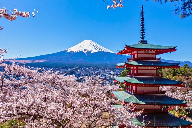 Mount Fuji Private Custom Tour with Local English Speaking Guide - Why a private Mt. Fuji day makes sense