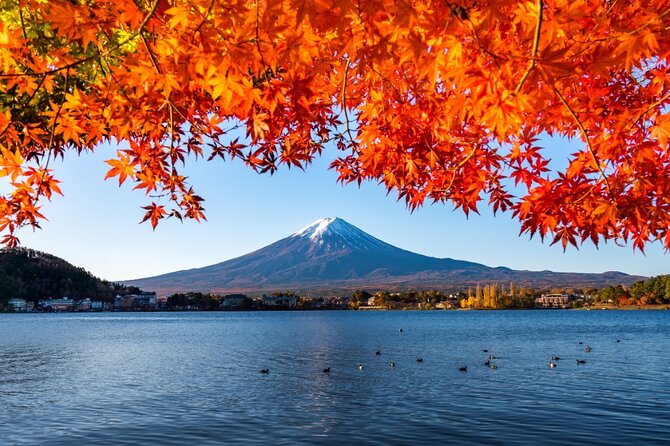 Mount Fuji Private Custom Tour with Local English Speaking Guide - A traditional village at Saiko Iyashi no Sato Nemba