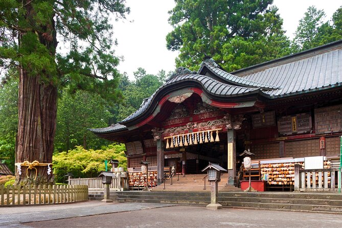 Mount Fuji Private Custom Tour with Local English Speaking Guide - Optional Oshino Hakkai and its clear spring ponds