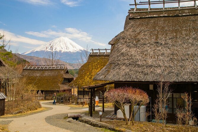 Mount Fuji Private Custom Tour with Local English Speaking Guide - Optional: Kitaguchi Hongu Fuji Sengen Jinja