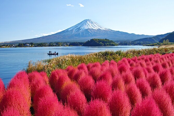 Mount Fuji Private Custom Tour with Local English Speaking Guide - Lucas, the guide, and the ride