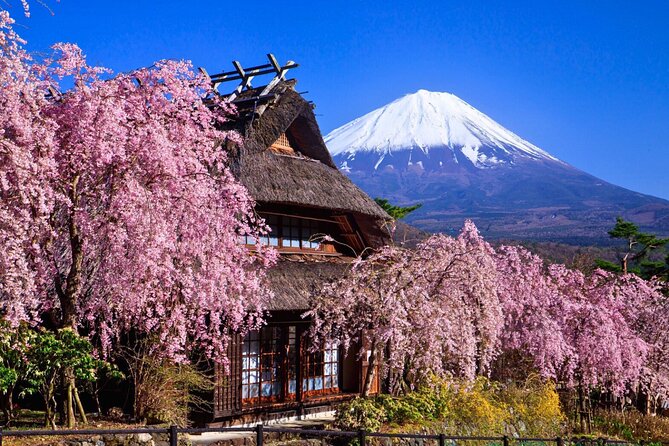 Mount Fuji Private Custom Tour with Local English Speaking Guide - The famous Chureito Pagoda view