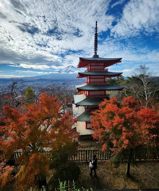 Mount Fuji Private day tour from Tokyo private & Customized - Mount Fuji viewpoints and the weather factor