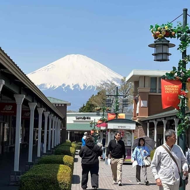 Mount Fuji Private day tour from Tokyo private & Customized - Saiko Iyashi no Sato Nemba and rural Japan