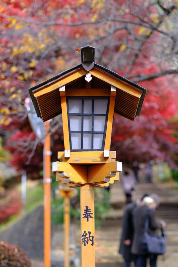 Mount Fuji Private Day Trip With Customizable Itinerary - Ropeway rides and the Pirate Ship on Lake Ashi