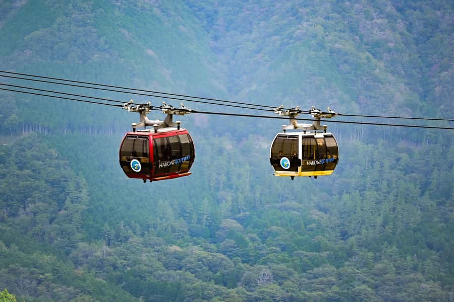 Mount Fuji Private Day Trip With Customizable Itinerary - Who should book this Mount Fuji day trip?