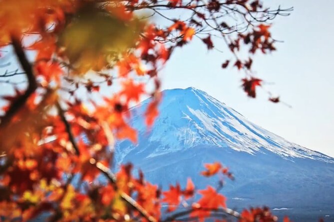 Mount fuji Private Tour - Timing, fitness, and the risk to consider