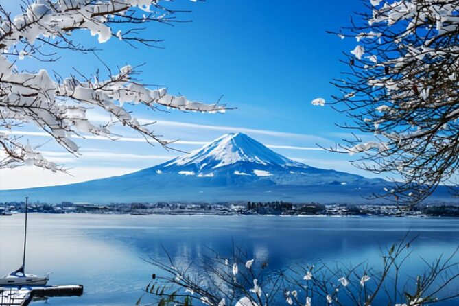 Mount Fuji Private Tour from Tokyo with English Speaking Driver - Key points to know before booking
