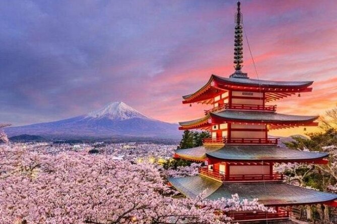 Mount Fuji Private Tour from Tokyo with English Speaking Driver - The 5th Station at about 2,300 meters
