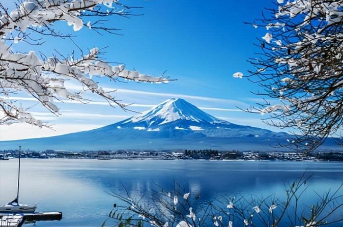 Mount Fuji Private Tour from Tokyo with English Speaking Driver - What the English-speaking driver adds