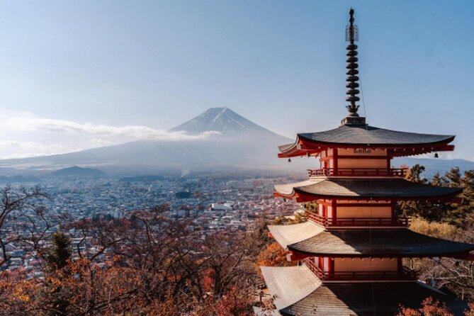 Mount Fuji Private Tour from Tokyo with English Speaking Driver - Price, comfort, and who gets the best value