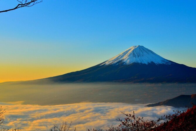 Mount Fuji Private Tour from Tokyo with English Speaking Driver - Lake Kawaguchiko for water-level views
