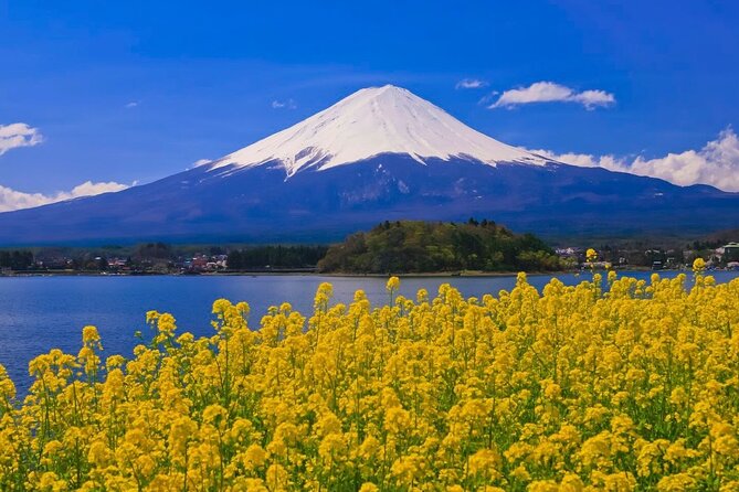 Mount fuji Private Tour - Oshino Hakkai mixes ponds, photos, and shopping