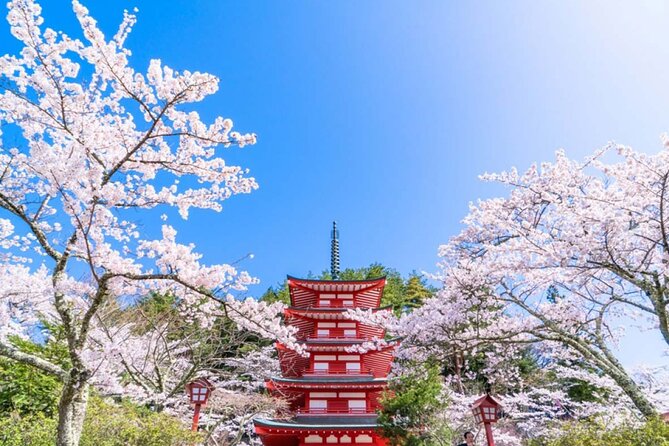 Mt. Fuji 5th, Oshino Hakkai, Onsen Full-Day Trip From Tokyo - Who should book this day trip?