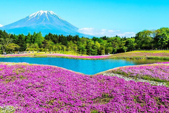 Mt. Fuji 5th, Oshino Hakkai, Onsen Full-Day Trip From Tokyo - Arakurayama Sengen Park in the winter schedule