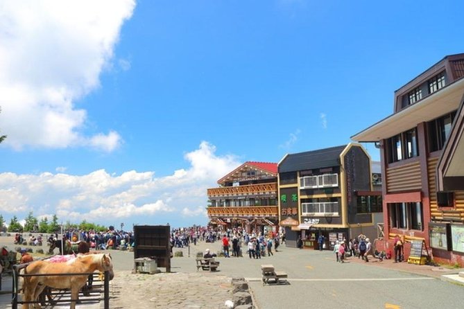 Mt. Fuji 5th Station, Owakudani Ropeway, Pirate Ship plus Outlet shopping! - Owakudani and the Hakone Ropeway