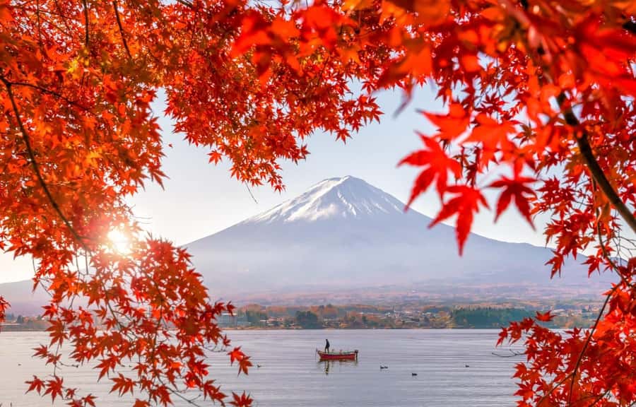 Mt. Fuji 6 Attractions Tour: Lake Kawaguchi, Oshino Hakkai - Arakura Sengen Shrine and 398 steps to the pagoda