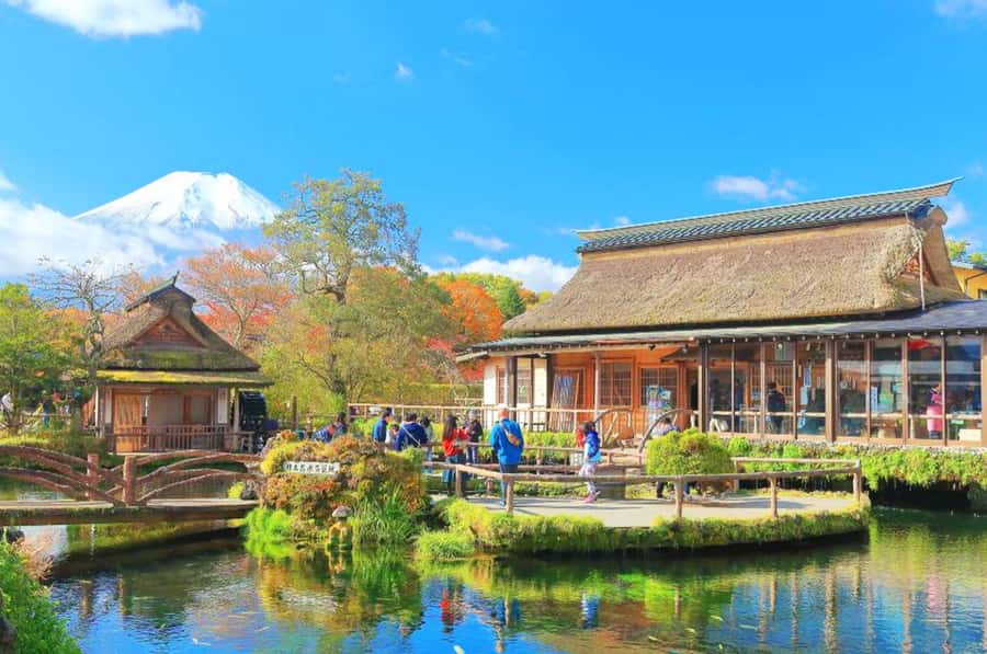 Mt. Fuji 6 Attractions Tour: Lake Kawaguchi, Oshino Hakkai - Oishi Park beside Lake Kawaguchi