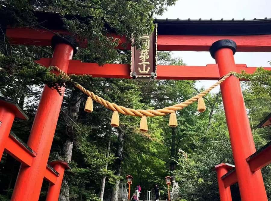 Mt. Fuji 6 Attractions Tour: Lake Kawaguchi, Oshino Hakkai - The Lawson convenience store viewpoint
