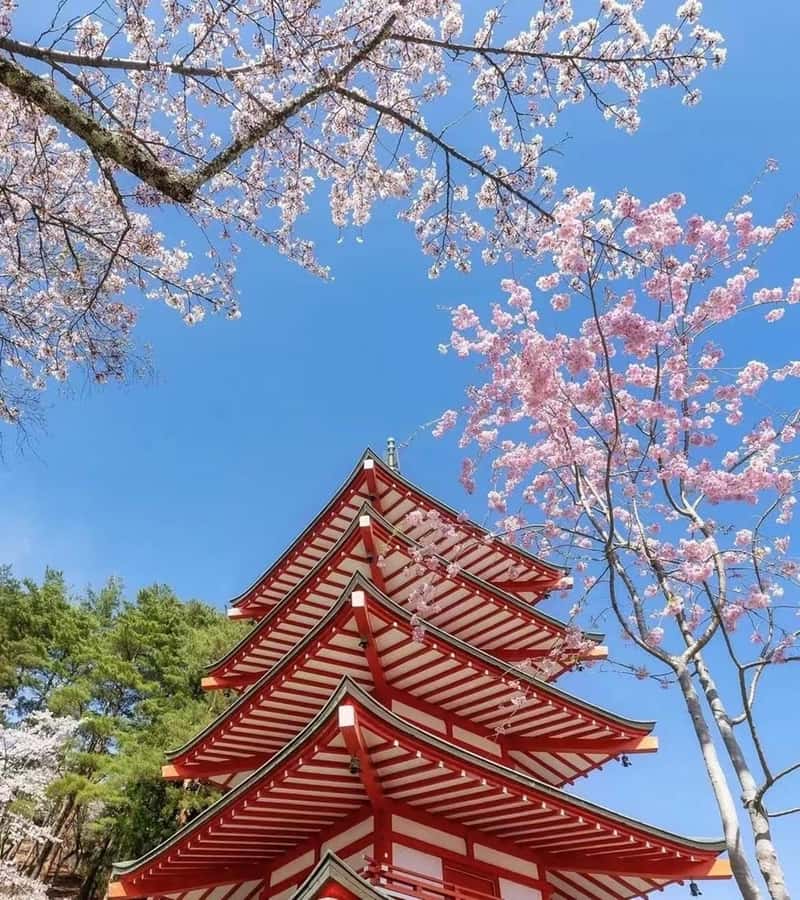 Mt. Fuji 6 Attractions Tour: Lake Kawaguchi, Oshino Hakkai - Guides, pace, and the feel of the group