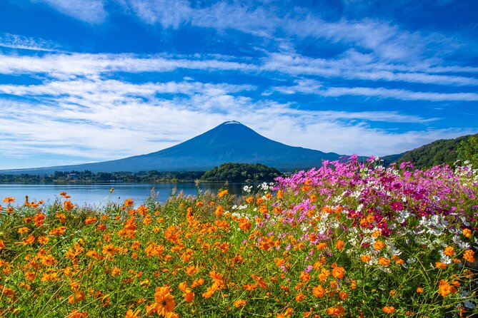 Mt. Fuji and Hakone 1 Day Bus Tour + Kimono Experience - Oishi Park and the classic Lake Kawaguchi view