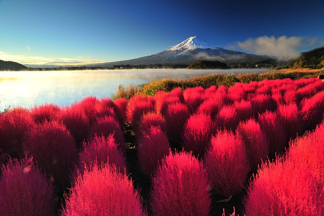 Mt. Fuji and Hakone 1 Day Bus Tour + Kimono Experience - Owakudani Valley: steam, sulfur, and a live volcano