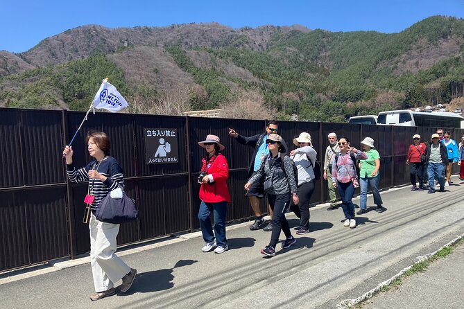 Mt. Fuji and Hakone 1 Day Bus Tour + Kimono Experience - Fujisan Plaza: a kimono photo with Fuji nearby