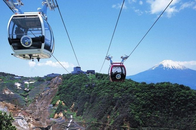 Mt. Fuji and Hakone Day Trip From Tokyo with Bullet Train Option - Why this day trip works for first-time visitors to Japan