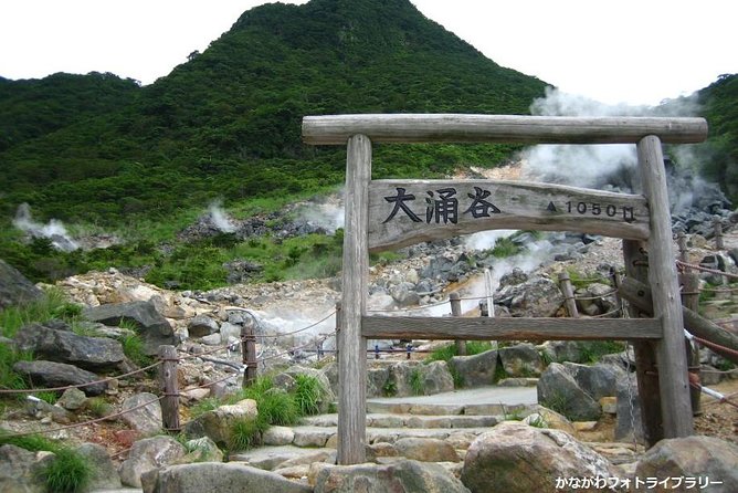 Mt. Fuji and Hakone Day Trip From Tokyo with Bullet Train Option - Choosing the coach or Shinkansen return