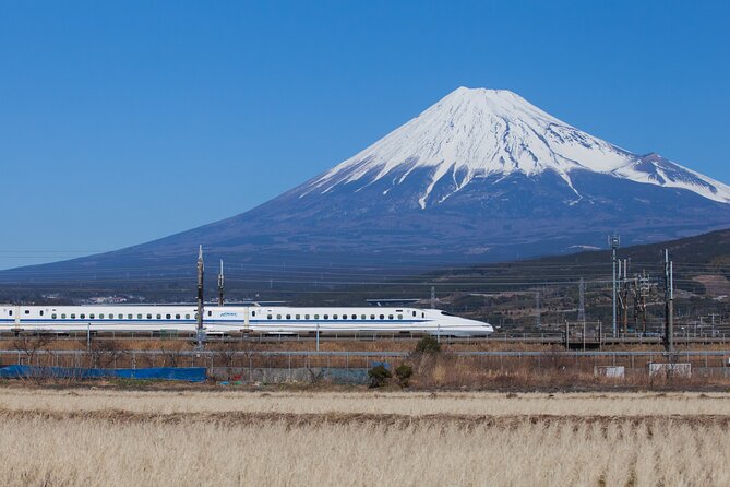 Mt. Fuji and Hakone Day Trip From Tokyo with Bullet Train Option - Mt. Fuji’s 5th Station and the value of clear skies