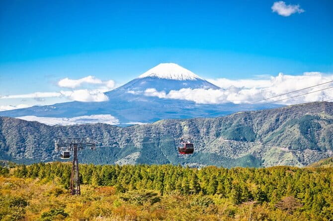 Mt Fuji and Hakone Private Day Tour - Key things to know before booking
