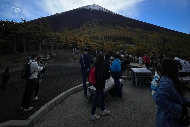 Mt.Fuji and Hakone Private SightSeeing Day Tour With Guide - Oshino Hakkai and its eight spring-fed ponds