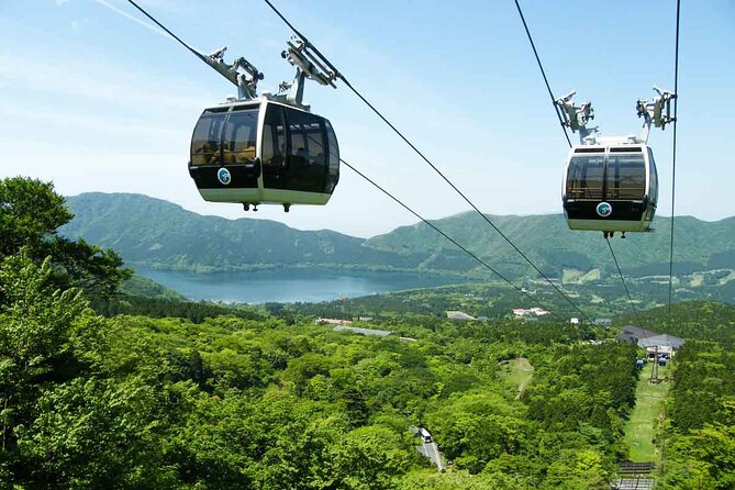 Mt.Fuji and Hakone Private SightSeeing Day Tour With Guide - What the private guide and driver add