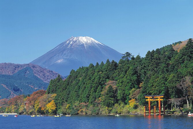 Mt.Fuji and Hakone Private SightSeeing Day Tour With Guide - Food, admissions, and the real cost