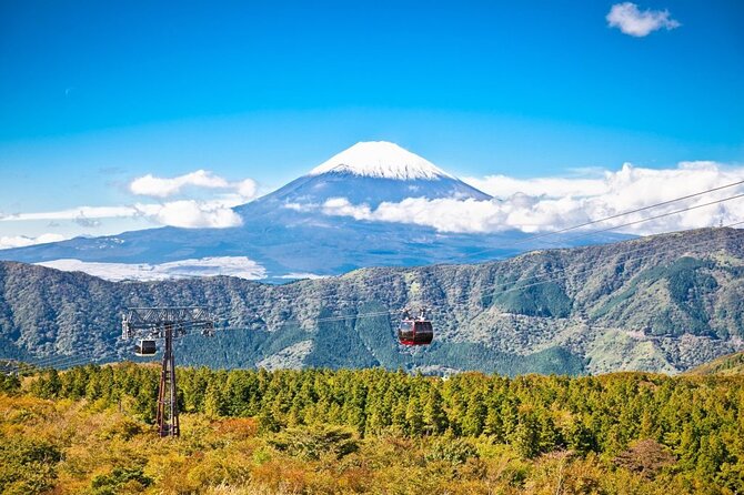 Mt. Fuji and Hakone Private Tour with English Speaking Guide - Hakone Shrine and the torii at Lake Ashi