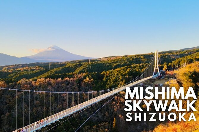 Mt. Fuji and Hakone Private Tour with English Speaking Guide - Owakudani and the Hakone Ropeway