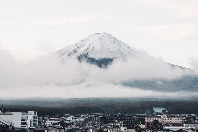 Mt. Fuji and Lake Kawaguchi Day Trip with Private Car - Saiko Iyashi no Sato Nenba and the old village setting