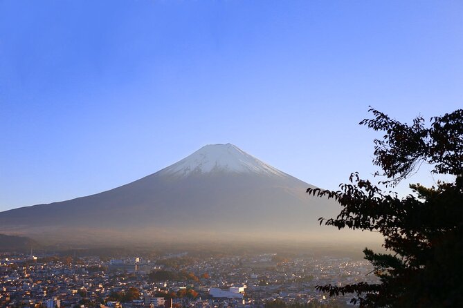 Mt. Fuji and Lake Kawaguchi Day Trip with Private Car - The optional Mt. Fuji fifth station