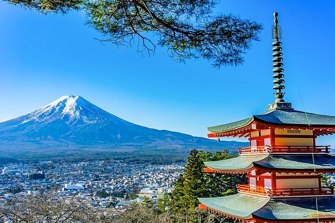 Mt. Fuji Area Tour Tokyo DEP: English Speaking Driver, No Guide - Key points to know before booking