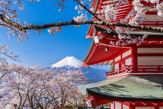 Mt. Fuji Area Tour Tokyo DEP: English Speaking Driver, No Guide - Is $748.78 good value for up to five people?