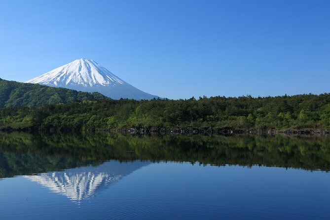 Mt Fuji Customizable Private Tour English Speaking Driver Pick-up - Leaving Tokyo early for Mount Fuji