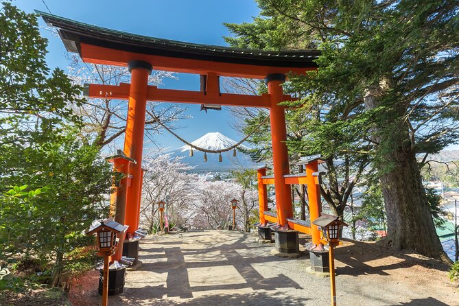 Mt Fuji Customizable Private Tour English Speaking Driver Pick-up - Saiko Iyashi no Sato Nenba, a traditional village by Lake Saiko