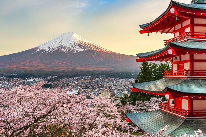 Mt Fuji Customizable Private Tour English Speaking Driver Pick-up - Oshino Hakkai and its eight clear ponds
