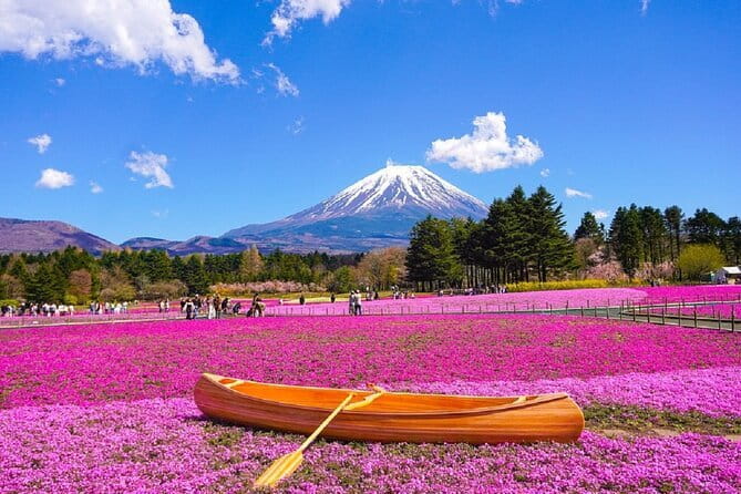Mt. Fuji Day tour: Kawaguchi Lake Ropeway, Matcha, Oshino Hakkai - Key points at a glance