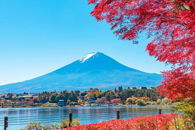 Mt. Fuji Day tour: Kawaguchi Lake Ropeway, Matcha, Oshino Hakkai - Why this Mount Fuji day trip works from Tokyo