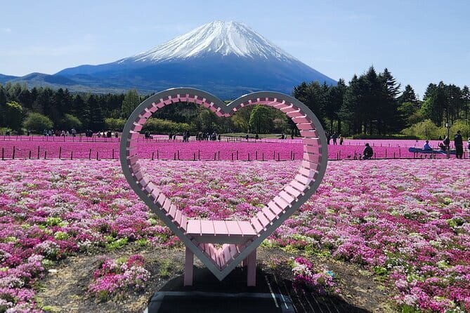 Mt. Fuji Day tour: Kawaguchi Lake Ropeway, Matcha, Oshino Hakkai - Oshino Hakkai and its eight clear springs