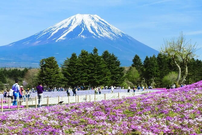 Mt. Fuji Day tour: Kawaguchi Lake Ropeway, Matcha, Oshino Hakkai - Starting with the Lawson photo stop