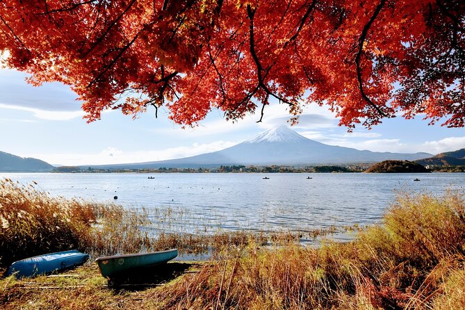 Mt Fuji Day Trip from Tokyo by Car with Photographer Guide - What the photographer-guide service really adds
